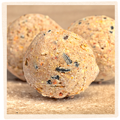 GEVO - Meisenknödel für Wildvögel
